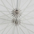 Quadralite Deep Space 165 transparent parabolic umbrella